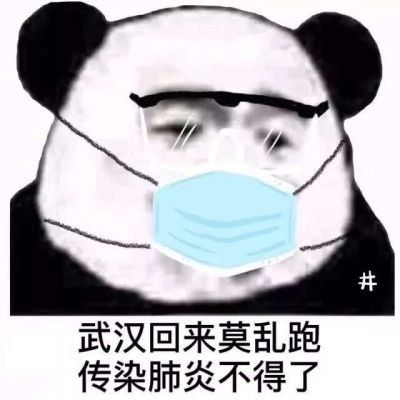 口罩熊貓頭表情包頭像