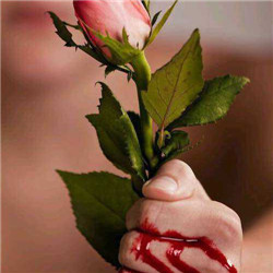 手抓住玫瑰出血的图片图片