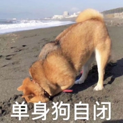 单身狗专用头像