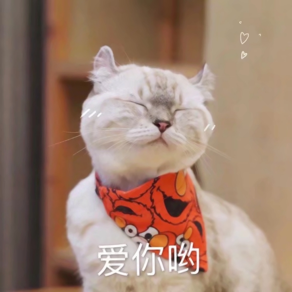 猫咪文字头像图片