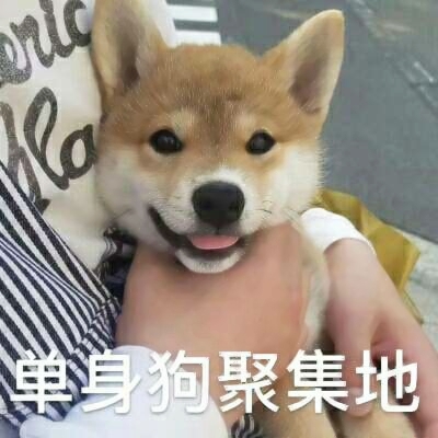 单身狗专属头像