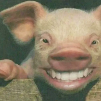 搞笑可爱沙雕头像