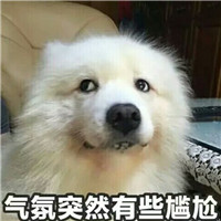 狗狗逗比頭像帶字