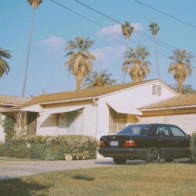 简约唯美静物头像