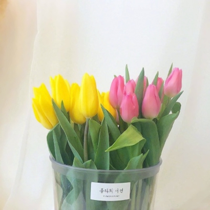 单独一束花头像图片大全