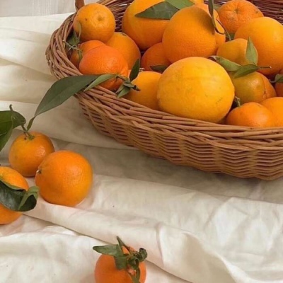 高清静谧的橘色系静物风景水果图片头像