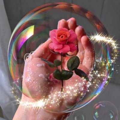 静物图片超清头像