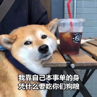 單身狗頭像搞笑