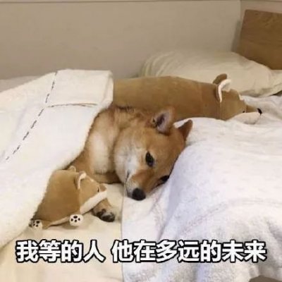 單身狗頭像搞笑