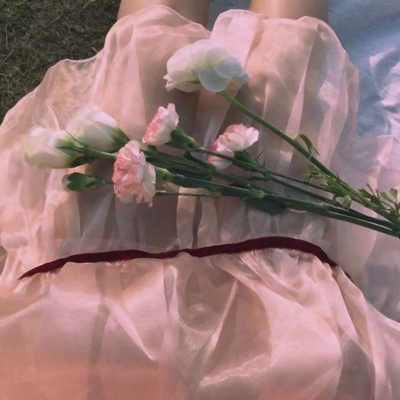 唯美静物图片头像