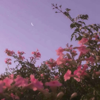 高清唯美星空头像