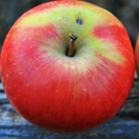 红苹果图片头像大全