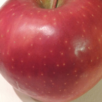 红苹果图片头像大全
