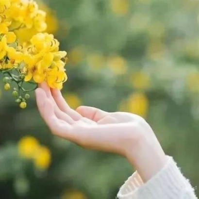 带手的头像图片唯美,微信头像图片