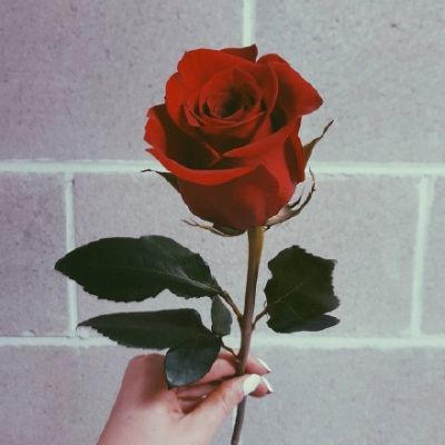 高清好看有意境的头像图片