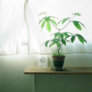 高清头像简约清新唯美图片