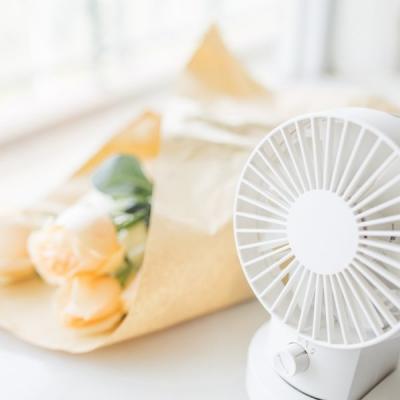 高清好看的小清新唯美静物头像专辑