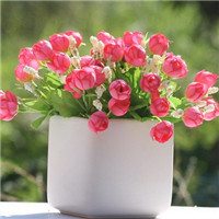 小清新盆景头像