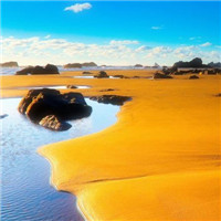 沙滩头像图片大全