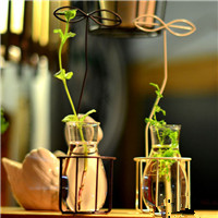 玻璃瓶插花图片头像