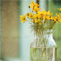 玻璃瓶插花图片头像