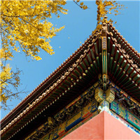 故宫高清头像图片大全