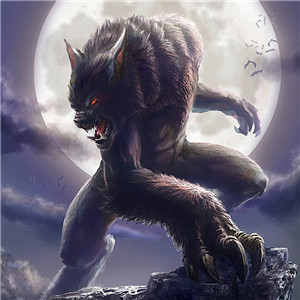 狼回头霸气图片头像