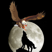 狼和鹰的拼搏图片头像