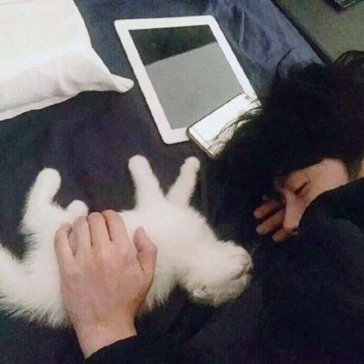 男生抱着猫情侣图片