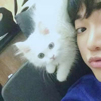 抱猫的男头,男生头像图片