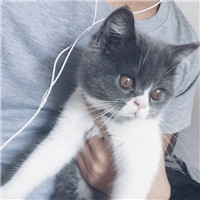 抱猫头像男,男生头像图片