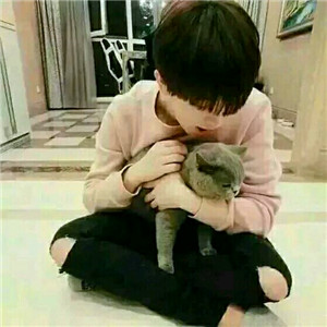 带猫的情侣头像