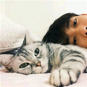 带人和猫的情侣头像图片