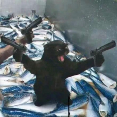 沙雕猫猫情侣头像