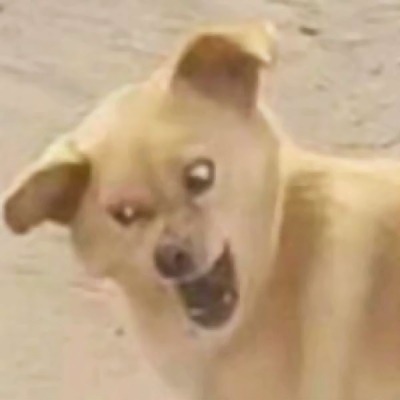 情头沙雕,情侣头像图片