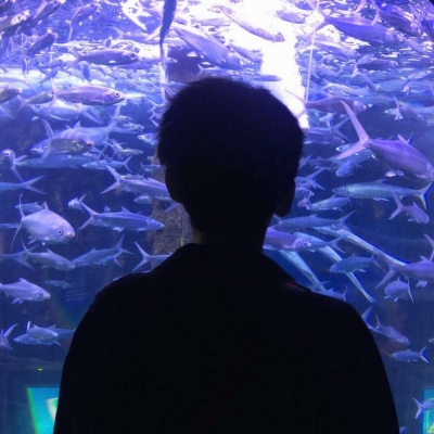 唯美影子情侣头像