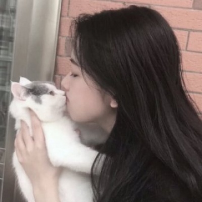 qq头像女生抱猫咪