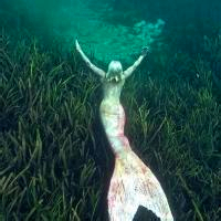 美人鱼qq头像图片大全