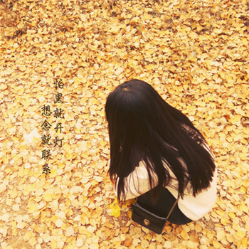 落叶一个人伤感背影图片头像
