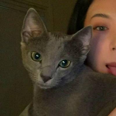 qq女生头像抱猫咪