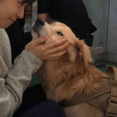 对象是狗的情侣头像