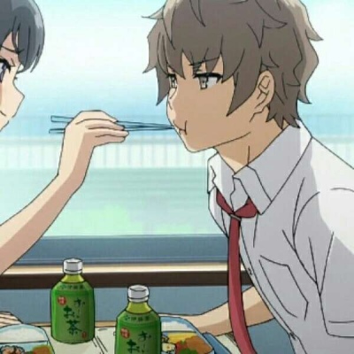 咲太麻衣情侣头像