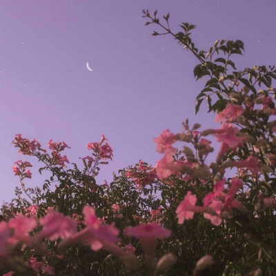 高清唯美的天空风景头像图片大全