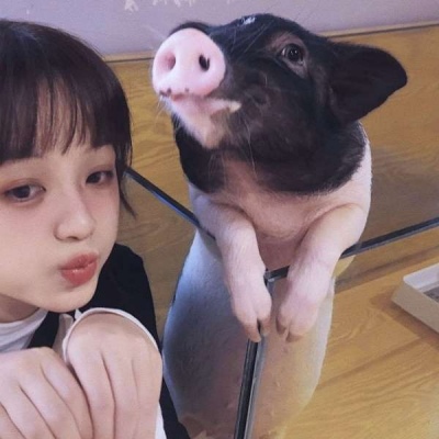 男朋友是宠物系列情头