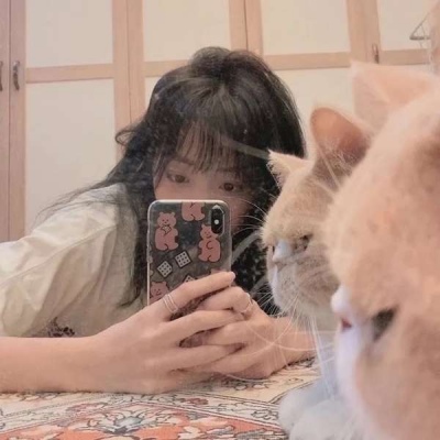 高颜值美女抱猫头像