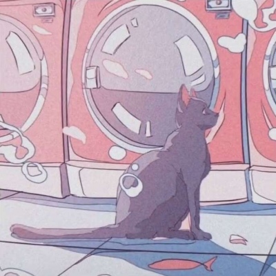 洗衣机旁一猫一人动漫情头图片