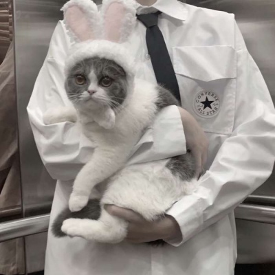 抱猫不露脸的男生高清头像图片