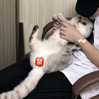 qq男头不露脸