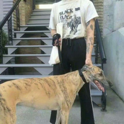 qq男生头像抱着小动物