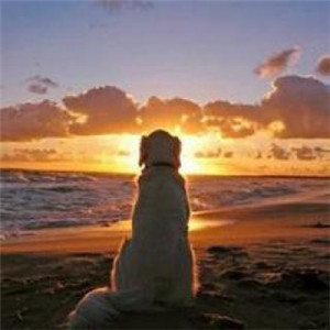 唯美好看光芒四射的红太阳图片头像